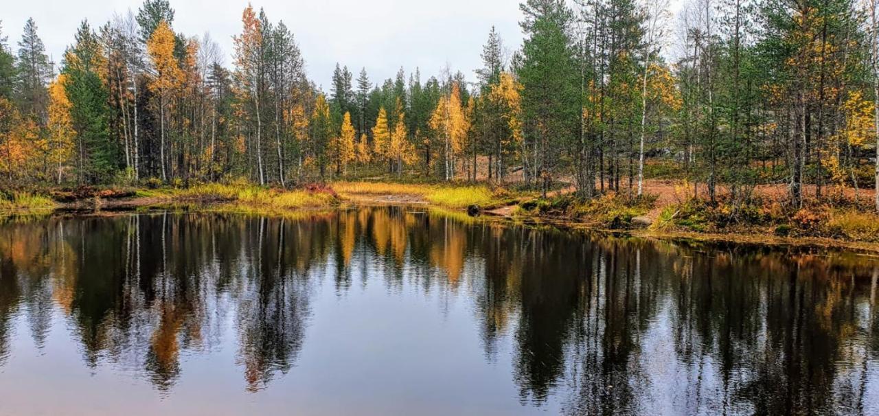 Cozy Log Cabin By Invisible Forest Lodge Rovaniemi Kültér fotó